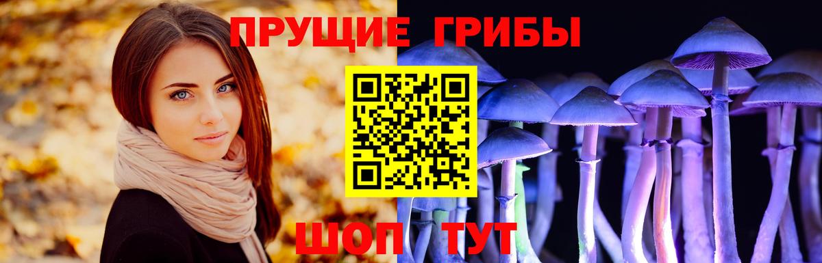Сочи  Псилоцибиновые грибы MAGIC MUSHROOMS  Вход с VPN 